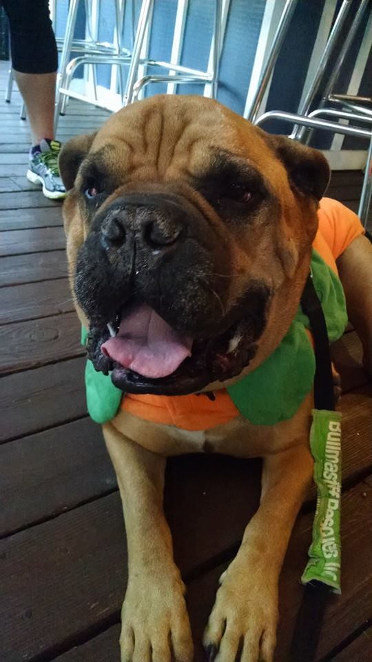 10155865_922366751126155_1052753510560581029_n